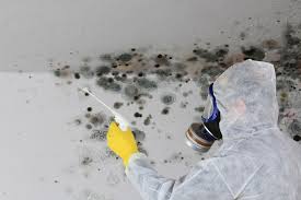 Best Mold Remediation for Healthcare Facilities  in Wilder, VT